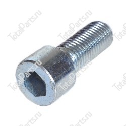 TOTALPARTS 000011702 ВИНТ С ШЕСТИГРАННЫМ ОТВЕРСТИЕМ В ГОЛОВКЕ