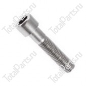 TOTALPARTS 000039114 ВИНТ С ШЕСТИГРАННЫМ ОТВЕРСТИЕМ В ГОЛОВКЕ