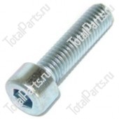 TOTALPARTS 000030976 ВИНТ С ШЕСТИГРАННЫМ ОТВЕРСТИЕМ В ГОЛОВКЕ