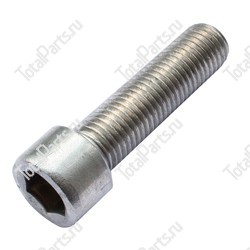 TOTALPARTS 000043797 ВИНТ С ШЕСТИГРАННЫМ ОТВЕРСТИЕМ В ГОЛОВКЕ