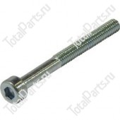 TOTALPARTS 000043809 ВИНТ С ШЕСТИГРАННЫМ ОТВЕРСТИЕМ В ГОЛОВКЕ