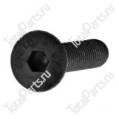 SIZE 10*M10*1.5*30*30*Y*B ВИНТ С ШЕСТИГРАННЫМ ОТВЕРСТИЕМ В ГОЛОВКЕ | 10.9