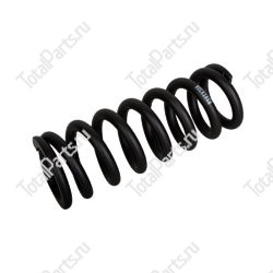 ZF 0732041669 НАЖИМНАЯ ПРУЖИНА