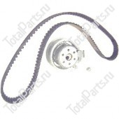 TVH 10504564 КОМПЛЕКТ РЕМНЯ ГРМ