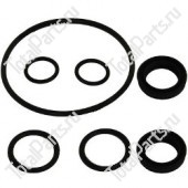 TCM 22N5733081 КОМПЛЕКТ САЛЬНИКОВ