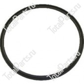 OMG 256001370 МАСЛОСЪЕМНЫЙ САЛЬНИК