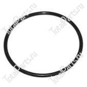 SIZE 59.5x3.5 КОЛЬЦЕВОЕ УПЛОТНЕНИЕ NBR70