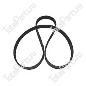 SIZE 1135*21.5*4.3 РЕМЕНЬ 6-КАНАВОК