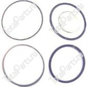 ALLIS CHALMERS 30D6411270 КОМПЛЕКТ САЛЬНИКОВ