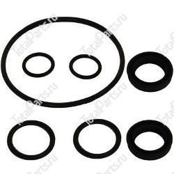 TCM 22N5733081 КОМПЛЕКТ САЛЬНИКОВ