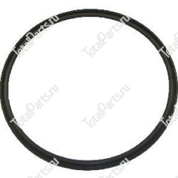 OMG 256001370 МАСЛОСЪЕМНЫЙ САЛЬНИК