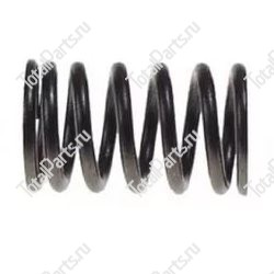 TVH 4901032 ПРУЖИНА