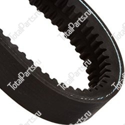 TVH 12110213 ПОЛИКЛИНОВОЙ РЕМЕНЬ | ЗАПЧАСТИ ДЛЯ ПОГРУЗЧИКОВ