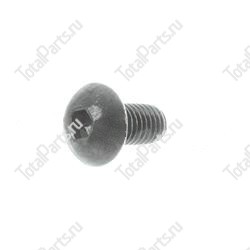 SIZE M5x0.8x10 ВИНТ 10.9