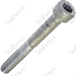 TVH 17645779 ВИНТ С ШЕСТИГРАННЫМ ОТВЕРСТИЕМ В ГОЛОВКЕ