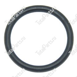 NISSAN 4019673001 КОЛЬЦО УПЛОТНИТЕЛЬНОЕ