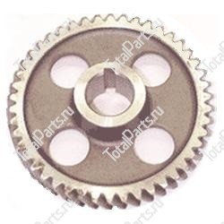 TVH 5561781 ШЕСТЕРНЯ РАСПРЕДВАЛА