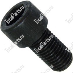 BOLZONI 600010 ВИНТ С ШЕСТИГРАННЫМ ОТВЕРСТИЕМ В ГОЛОВКЕ