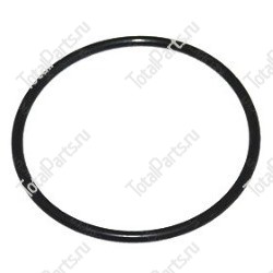CUMMINS 4900856 КОЛЬЦЕВОЕ УПЛОТНЕНИЕ
