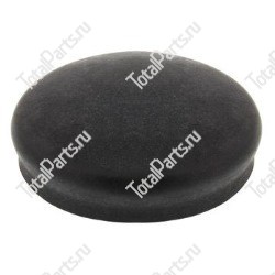 RAYMOND 1024731CE КРЫШКА СТУПИЦЫ