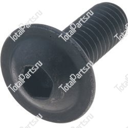 SIZE 6xM6x1x12x15.3xYxB2x ВИНТ С ШЕСТИГРАННЫМ ОТВЕРСТИЕМ В ГОЛОВКЕ