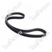 SIZE 24.8*6.2*5.5*3.5*149 РЕМЕНЬ ГРМ / TYPE C