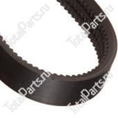 HOLDWELL HD46650590 ЗУБЧАТЫЙ РЕМЕНЬ ПРИВОДА 3 ДОРОЖКИ
