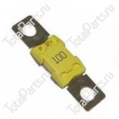 KEY NUMBER CTW205013670 ПРЕДОХРАНИТЕЛЬ 100A