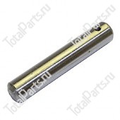REALS B8005 ШКВОРЕНЬ