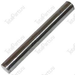 REALS H6453 ШКВОРЕНЬ