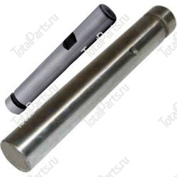 REALS H6392 ШКВОРЕНЬ