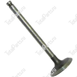 TCM AG31A0420200 ВЫПУСКНОЙ КЛАПАН ДВИГАТЕЛЯ