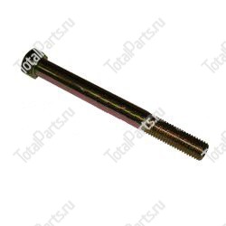 TCM 0110310095 БОЛТ