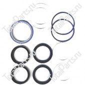 TVH 4643889 КОМПЛЕКТ САЛЬНИКОВ ГИДРОЦИЛИНДРА