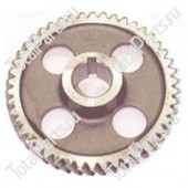 TVH 5561781 ШЕСТЕРНЯ РАСПРЕДВАЛА