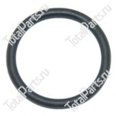 NISSAN 4019673001 КОЛЬЦО УПЛОТНИТЕЛЬНОЕ