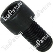 BOLZONI 600010 ВИНТ С ШЕСТИГРАННЫМ ОТВЕРСТИЕМ В ГОЛОВКЕ