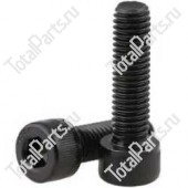 SIZE 16*M16*60*76*Y*B1*B1 ВИНТ С ШЕСТИГРАННЫМ ОТВЕРСТИЕМ В ГОЛОВКЕ 10.9