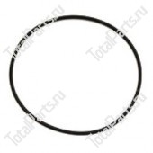 SIZE 123.42*3.53 КОЛЬЦЕВОЕ УПЛОТНЕНИЕ NBR80