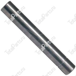 BT 139185 ШКВОРЕНЬ