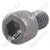 RAYMOND 20050 ВИНТ С ШЕСТИГРАННЫМ ОТВЕРСТИЕМ В ГОЛОВКЕ