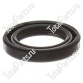 SIZE 20*30*5 САЛЬНИК S10 | M | Z-NO ROTATION