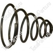 BT 213817 ПРУЖИНА