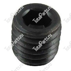 YANMAR 4TNE92 ЗАГЛУШКА РЕЗЬБОВАЯ 1/16