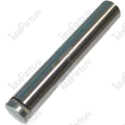 SIZE 184X29mm ЦЕНТРАЛЬНЫЙ ШКВОРЕНЬ