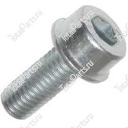 TVH 19537055 ВИНТ С ШЕСТИГРАННЫМ ОТВЕРСТИЕМ В ГОЛОВКЕ