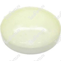 HYSTER 2021800 КРЫШКА СТУПИЦЫ