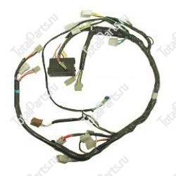 TVH 2003306 ЖГУТ ЭЛЕКТРОПРОВОДКИ