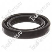 SIZE 20*30*5 САЛЬНИК S10 | M | Z-NO ROTATION