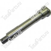 CHARLATTE DPYUY000043 ШКВОРЕНЬ